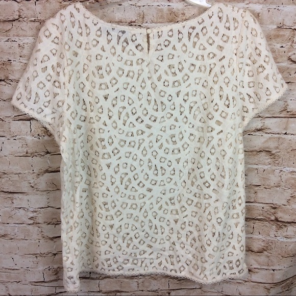 Loft Cream Lace Top Large - Picture 3 of 5